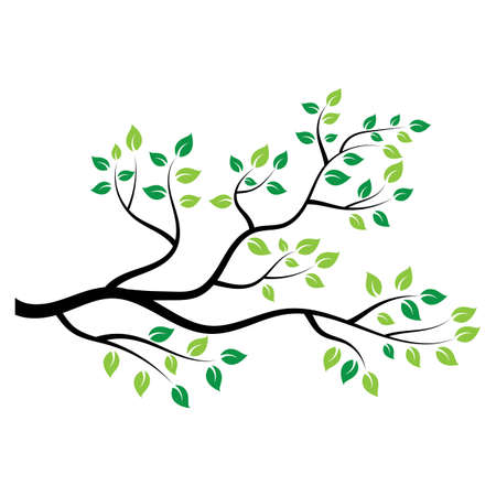tree branch vector ilustration design templateのイラスト素材