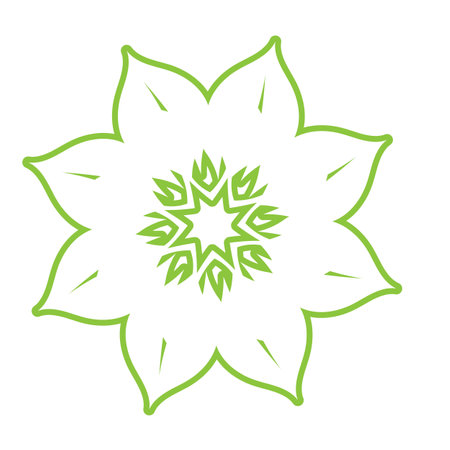 Leaf green ornament design and symbol vector templateのイラスト素材