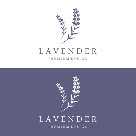 Hand drawn organic lavender flower logo design.Logo for cosmetic, beauty,tea,oil,herbal.のイラスト素材