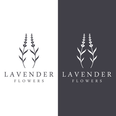 Hand drawn organic lavender flower logo design.Logo for cosmetic, beauty,tea,oil,herbal.のイラスト素材
