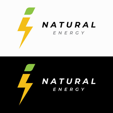 Creative electric or natural energy flash or lightning logo,thunderbolt symbol.Logo for electricity, business and company.のイラスト素材