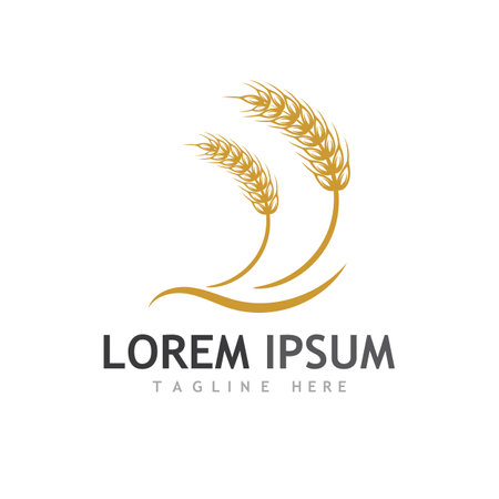 Agriculture wheat vector icon designのイラスト素材