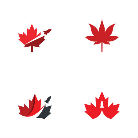 Maple leaf vector illustration design templateのイラスト素材