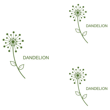 Dandelion flower logo and symbol vector designのイラスト素材
