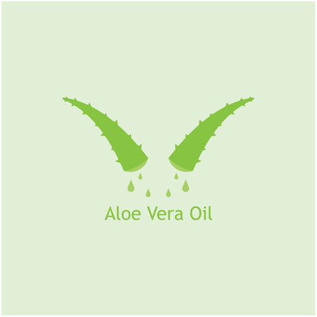 Aloe vera icon logo vector illustrationのイラスト素材