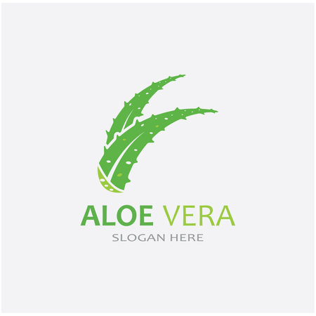 Aloe vera icon logo vector illustrationのイラスト素材