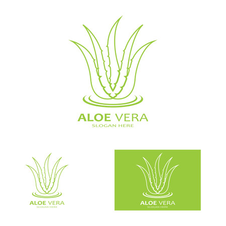 Aloe vera icon logo vector illustrationのイラスト素材