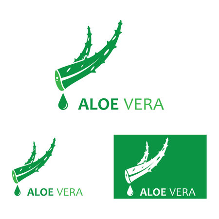 Aloe vera icon logo vector illustrationのイラスト素材