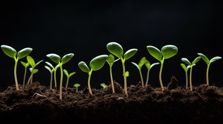 Small plants grow fresh and green in fertile land Generate AIの素材