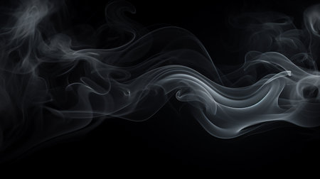 Smoke on a black background. Abstract background. Design element.の素材