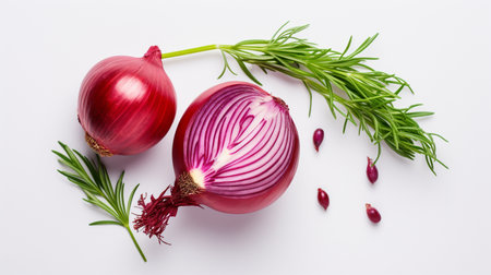 red onion and rosemary on a white acrylic background. horizontal photo.の素材