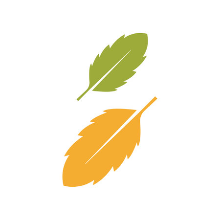 Autumn Maple leaf vector illustration design templateのイラスト素材