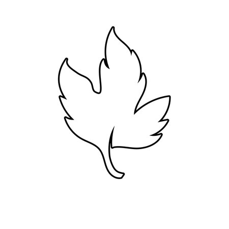 Autumn Maple leaf vector illustration design templateのイラスト素材