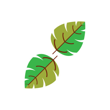 Autumn Maple leaf vector illustration design templateのイラスト素材