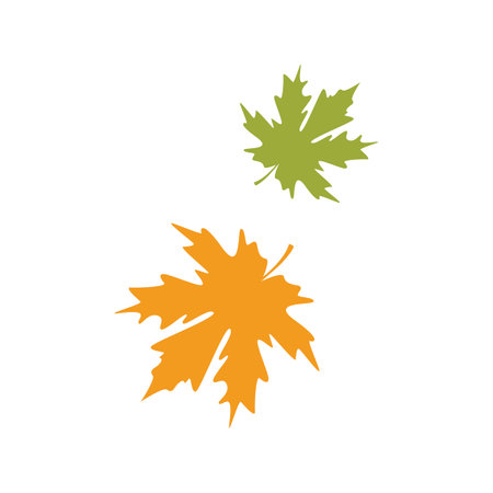 Autumn Maple leaf vector illustration design templateのイラスト素材
