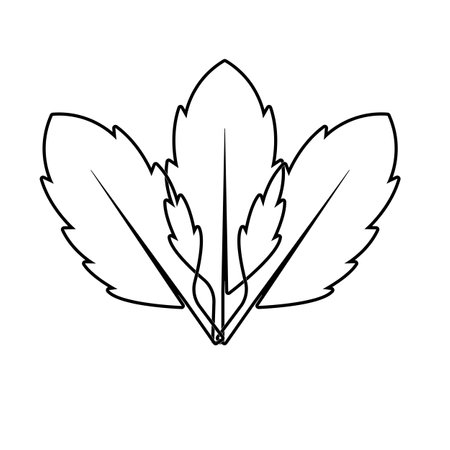 Autumn Maple leaf vector illustration design templateのイラスト素材