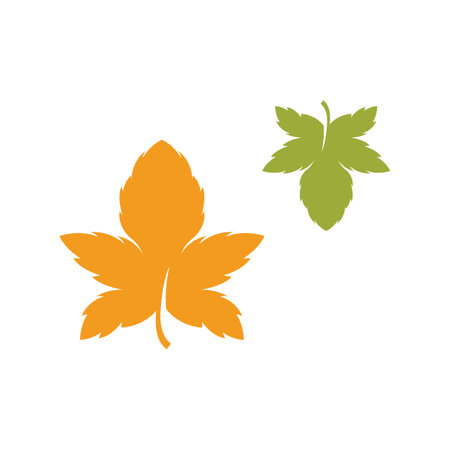 Autumn Maple leaf vector illustration design templateのイラスト素材