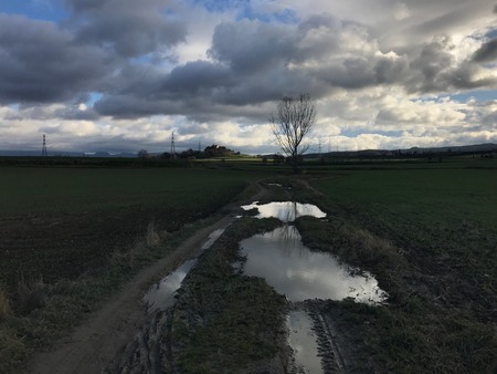 rural reflexの写真素材