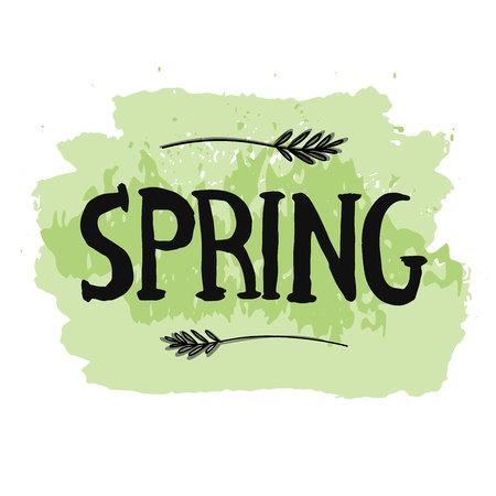 Spring lettering on the green and white background. lettering for poster or print. Typography design.のイラスト素材