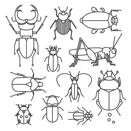 collection of different bugs. Icon set of insects in linear style.のイラスト素材