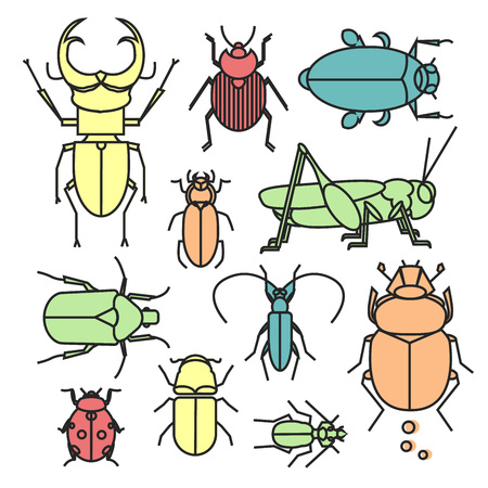 Colorful linear collection of different bugs and beetle. Cute flat insects in geometric style..のイラスト素材