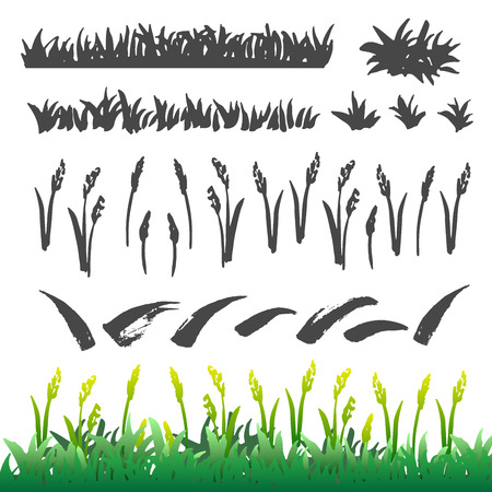 Hand drawn grass elements collection. Brush drawing grass and leaves isolated on the white background. Sketch style set.のイラスト素材