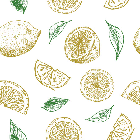 Seamless background with lemon pieces. Pattern with sketch of lemons on the white.のイラスト素材