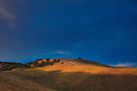 Autumn mountain landscape with trees on the hillside and blue skyの写真素材