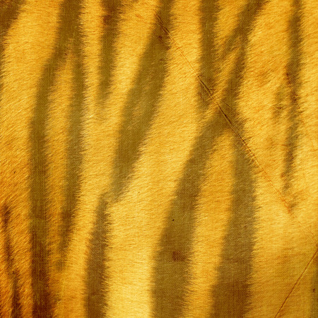 fabric stylized tiger skinの写真素材