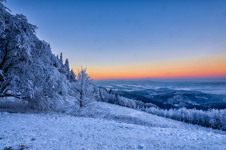 winterの写真素材