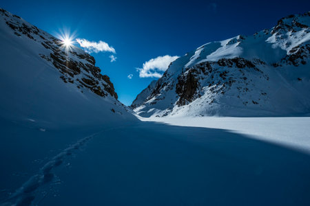 Snowshoe tracks in a sunny winter mountain landscape