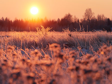 Sunrise in a frosty landscape with warm colorsの写真素材