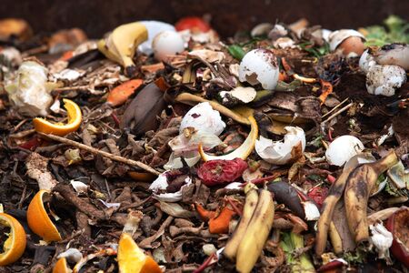 Organic food leftovers. Concept Organic waste, clean environment.