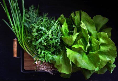 Fresh greens for a salad on a wooden tray. Top view.の写真素材