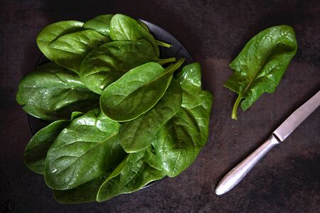 Washed fresh spinach on a black background.の写真素材