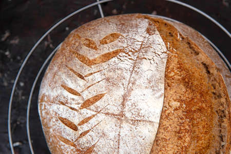 Homemade freshly baked rye bread, whole loaf on a cooling rack on dark background.