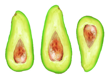 Avocado pieces set isolated on white background as package design elementの写真素材