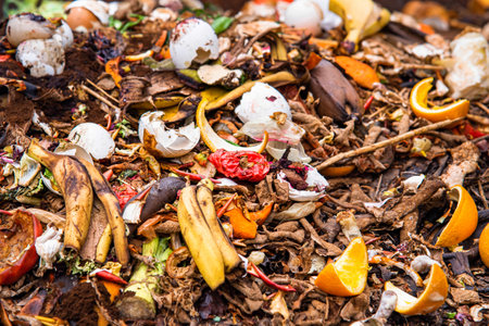 composting pile of vegetables fruits. Concept Organic waste, clean environmentの写真素材