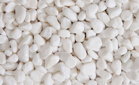 Diverse arrangement of small white stones on a textured surface highlighting their natural beauty.の写真素材