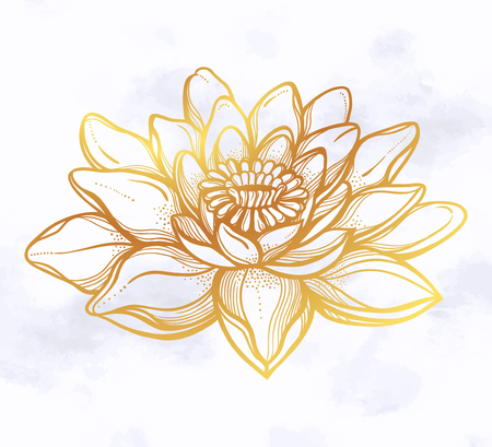 Vector Lotus flower, ethnic art.のイラスト素材
