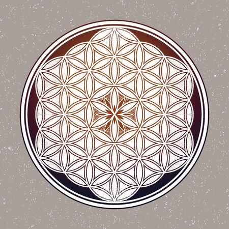 Flower of Life - intersecting circles forming.のイラスト素材