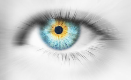 Macro shot of blue  eyeの写真素材