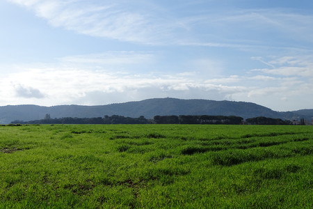 green field landscapeの写真素材