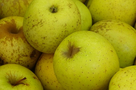 Green apples as a backgroundの写真素材