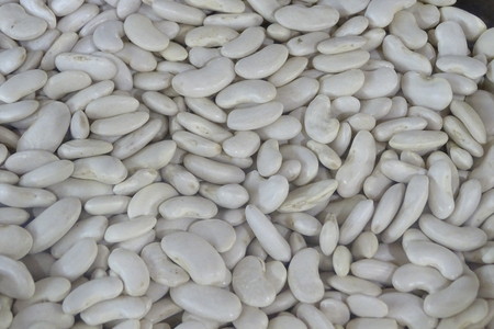 White beans as a background