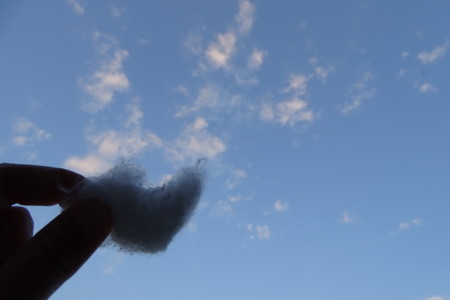 Take a cotton cloudの写真素材