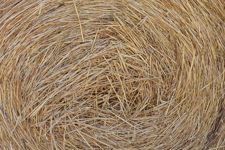 Dry straw bale in detail as a background textureの写真素材