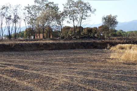 fields view after a fire, burn cereal fieldの写真素材
