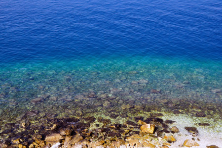 <p>Coral reef and turquoise water in the Mediterranean Sea.</p>の写真素材