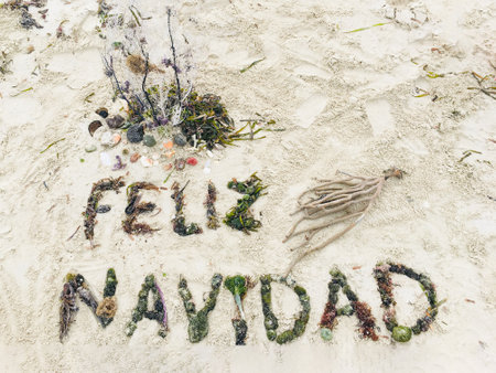 Feliz Navidad holiday lettering made of coral and sea grass on white beach sandの写真素材